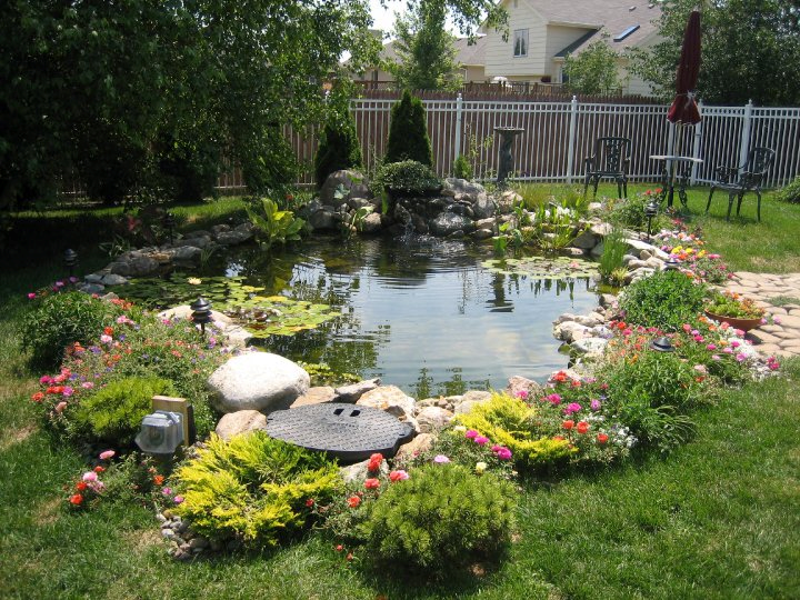 Lush garden pond surrounded by vibrant flowers and greenery, enhancing a low-maintenance outdoor design for year-round beauty.
