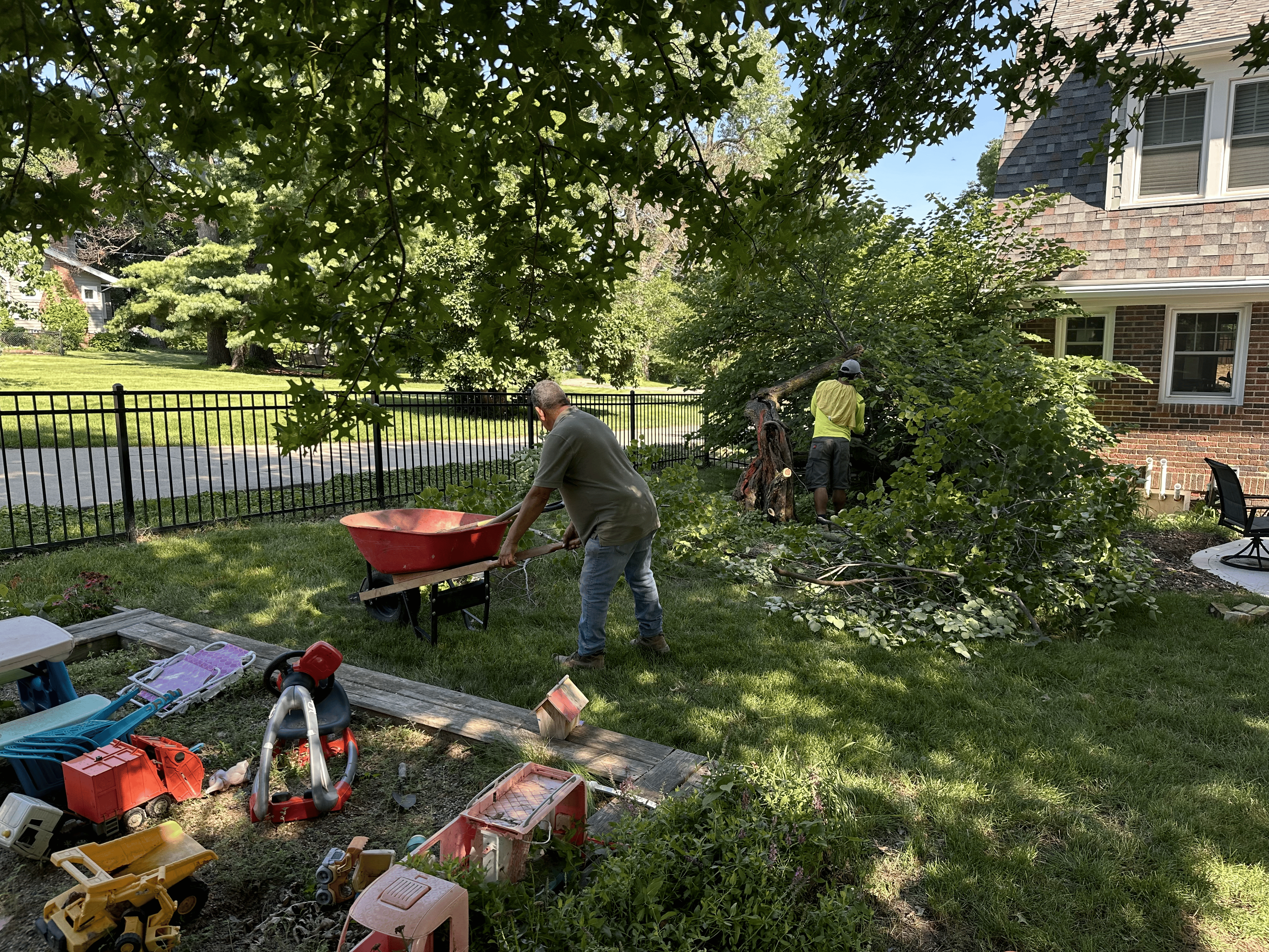 Men working in a residential yard, one using a wheelbarrow and the other clearing branches, surrounded by landscaping tools and a fenced lawn.