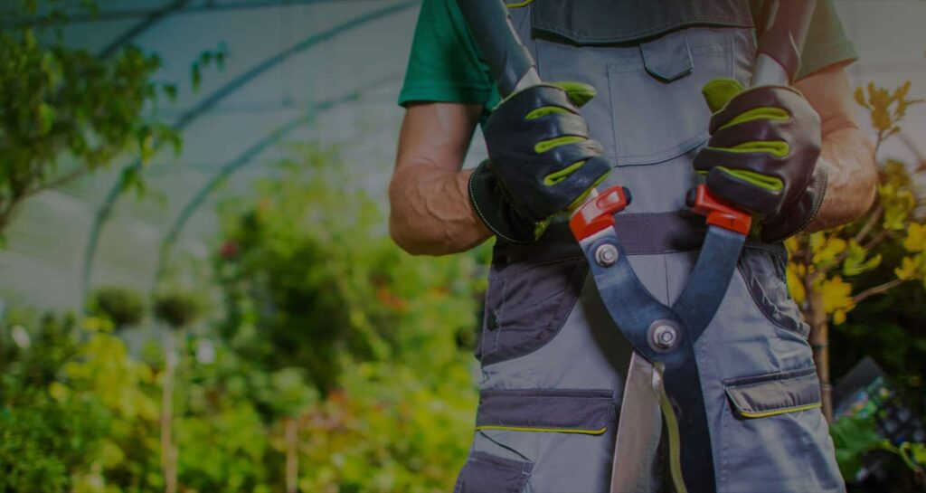 Gardener holding pruning shears in a lush green landscape, emphasizing professional landscaping services and gardening expertise.