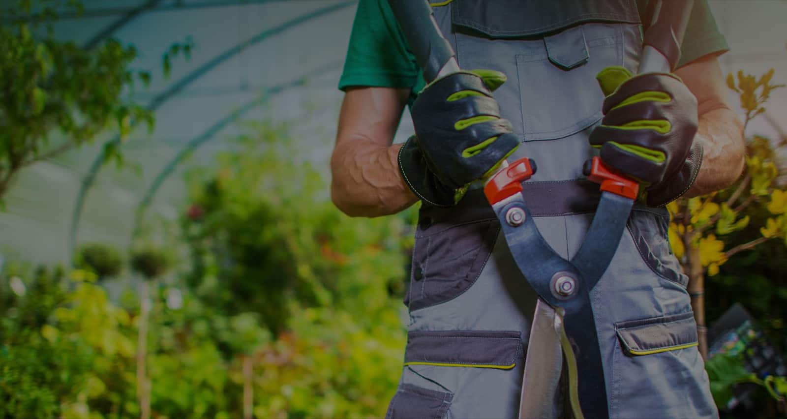 Gardener holding pruning shears in a lush greenhouse, emphasizing landscaping tools and practices.