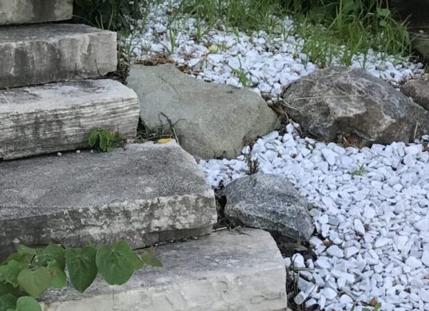 Stone steps leading to a landscaped area with white gravel and rocks, surrounded by green grass and plants, illustrating landscaping design elements by Noah Wosmansky.